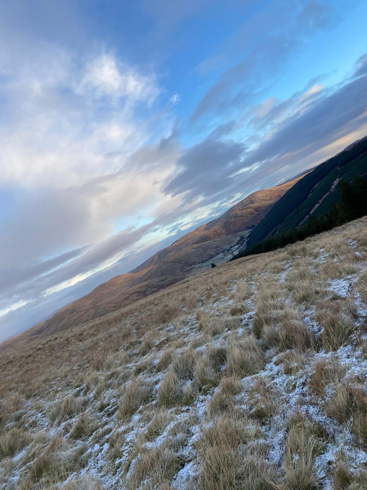 Wild venison from Dennison's Venison