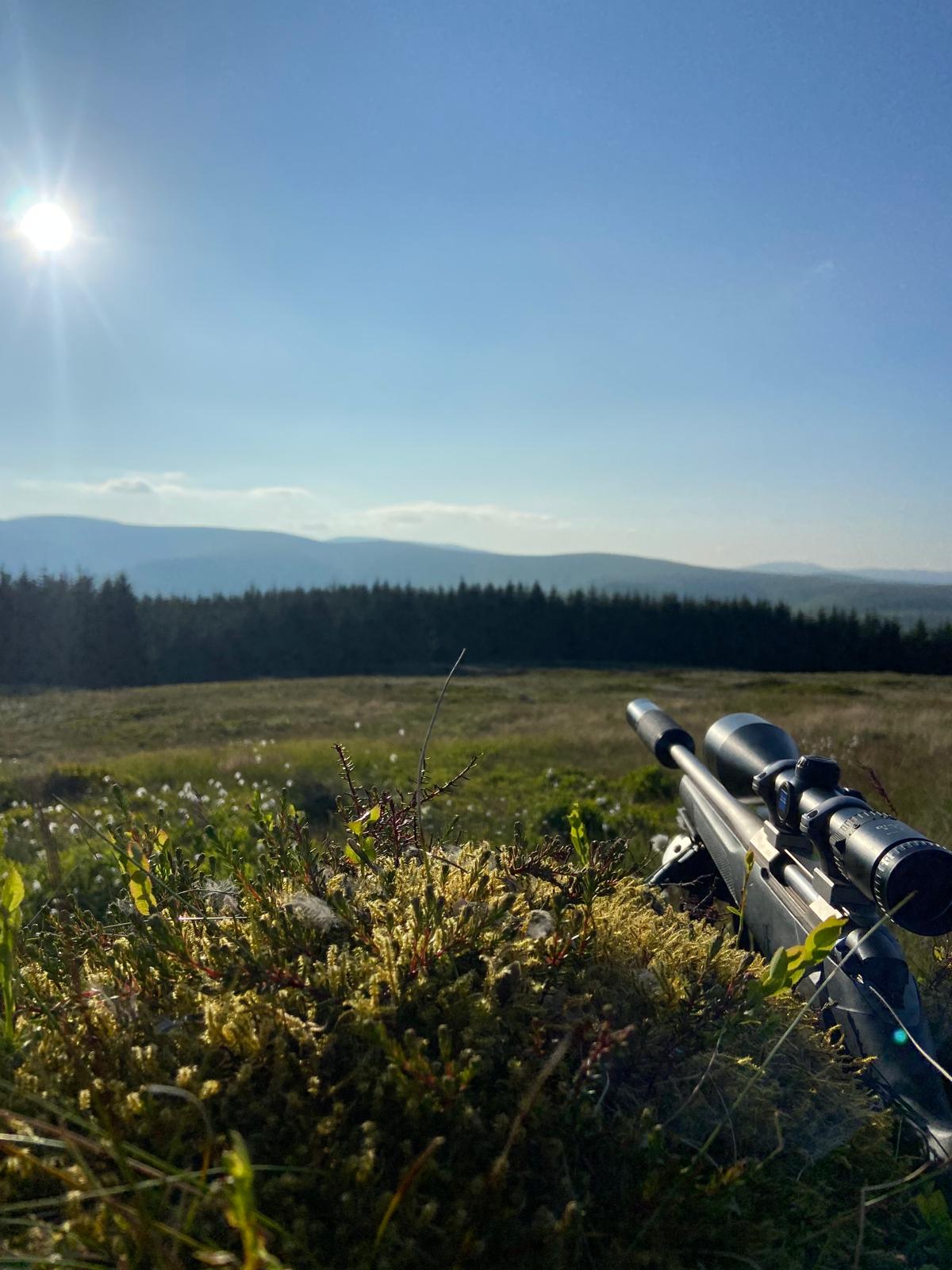 Scottish Highland landscape